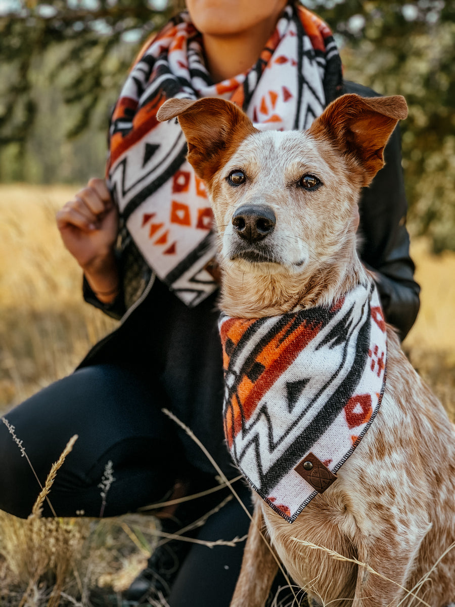 Auburn on sale dog bandana