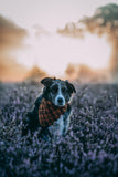 ROUX - Adjustable Dog Bandana