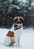 FLYNN - Adjustable Dog Bandana