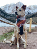 SANTA FE - Adjustable Dog Bandana