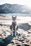 SUNSET - Adjustable Dog Bandana