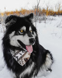 ARIZIONA - Adjustable Dog Bandana