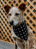 SWISS - Adjustable Dog Bandana