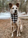 VAN - Adjustable Dog Bandana